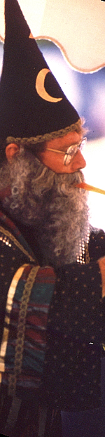 Magician Chaz Misenheimer as Wizard Merlin